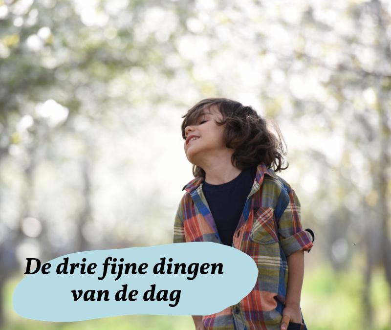 3 Fijne dingen van de dag